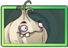 Garlic Uncommon Seed Packet.png