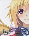 Infinite Stratos 2 BD 04.jpg