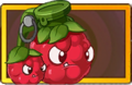 Berry Blaster Legendary Seed Packet.png