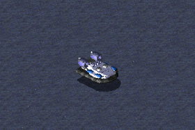 RA2-两栖运输艇.png