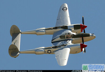 P-38闪电.jpg