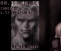Liquid Snake Profile.png