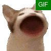 Pop猫.gif
