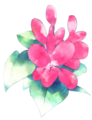 Flower suoh.png