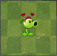 Peashooter Costume 8 Almanac.jpg