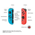 Joy-Con Infographic.jpg