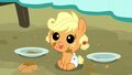 Baby applejack.jpg