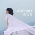 Edelweiss-A.jpg