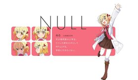 NULL2.jpg