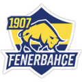 Old Fenerbahçe Esports Logo.png