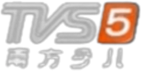 TVS5广东少儿.png