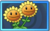 Twin Sunflower Rare Seed Packet.png