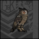 Pet bird asiootus icon.png