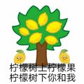 2019年1月31日 (四) 13:59的版本的缩略图