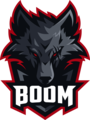 Boom Esports new.png