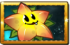 Starfruit New Premium Seed Packet.png