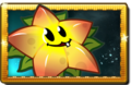 Starfruit New Premium Seed Packet.png