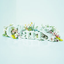 ClariS ～SINGLE BEST 1st～ 初回.jpg