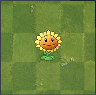 Sunflower Almanac.jpg