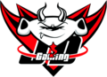 JD Gaming 2017 Logo.png