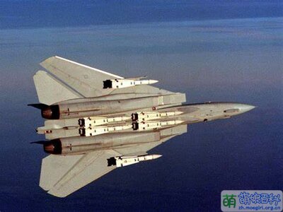 F-14 With Phoenix.jpg