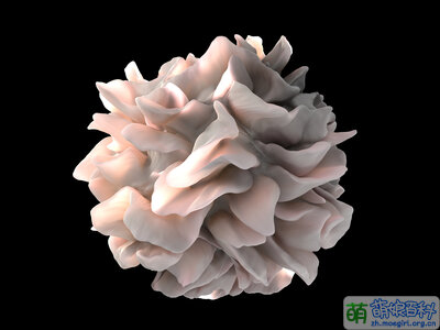 Dendritic cell revealed.jpg