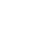 Bear Species Icon.png