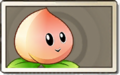 Peach Common Seed Packet.png