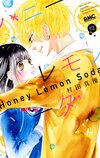 Honey Lemon Soda 12.jpg