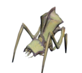 Antlion.png